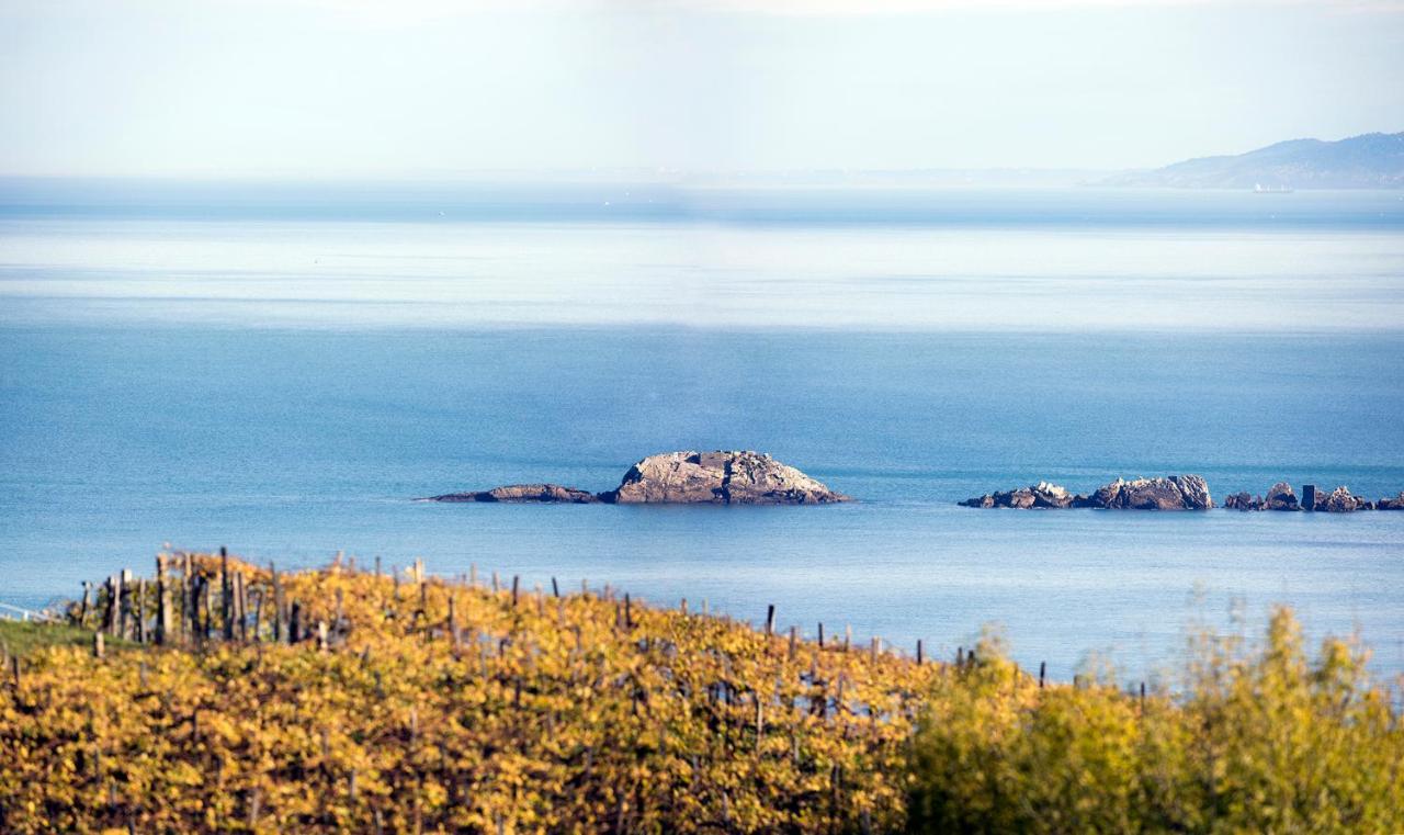 Appartamento Aterian Euromar I Zarautz Esterno foto